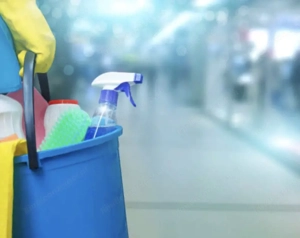 sehr ordentliche, zuverlässige Reinigungskraft