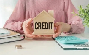 Wir bieten Kredite: und Investitionen für alle in Österreich