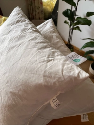 Polster NEU 50x70 Baumwolle Federn Bild 2