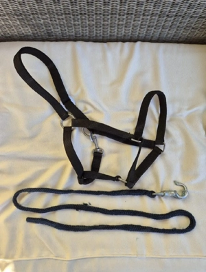 Pferde Halfter mit Führstrick Bild 2