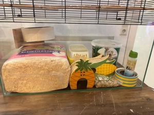 Nagarium  Nagerterrarium 75 45 64 cm + Erstausstattung  Zubehör - 160  Bild 3