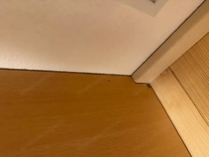 Eckkasten.                     Bild 5