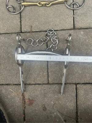 Pferdeartikel Bild 3