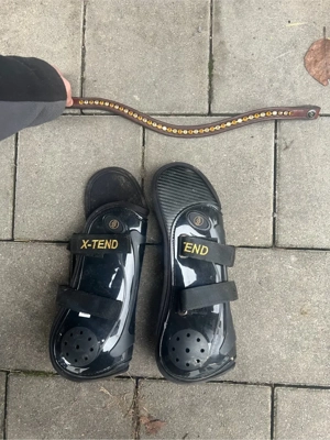 Pferdeartikel Bild 4