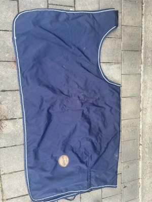 Pferdeartikel Bild 2