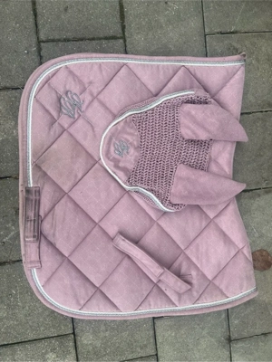 Pferdeartikel Bild 5