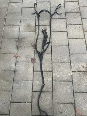 Pferdeartikel Bild 3