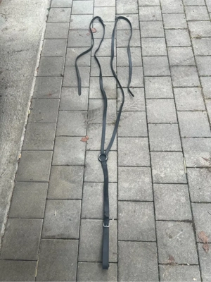 Pferdeartikel Bild 2