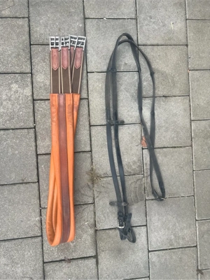 Pferdeartikel Bild 4