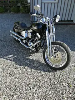 HD Softail Springer Bild 3