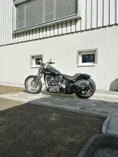 HD Softail Springer Bild 2