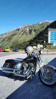 HD Softail Springer Bild 4