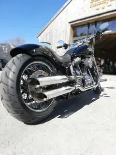 HD Softail Springer Bild 5