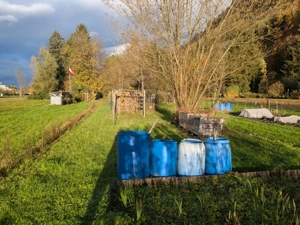 Pachtgrund: Obst- und Gemüsegarten Bild 3