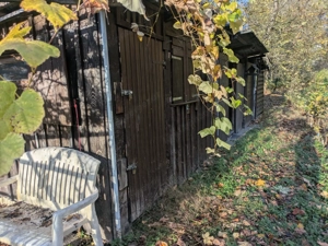 Pachtgrund: Obst- und Gemüsegarten Bild 5