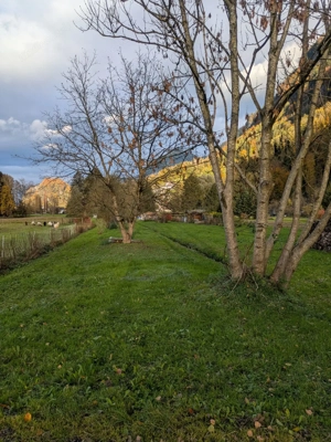 Pachtgrund: Obst- und Gemüsegarten Bild 10