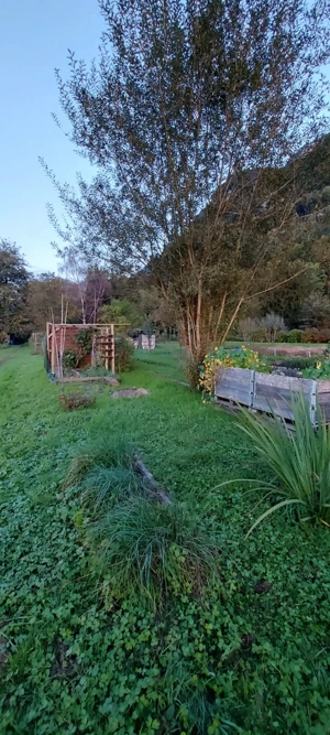 Pachtgrund: Obst- und Gemüsegarten Bild 9