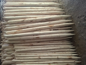 Verkaufe pföhl  Bild 2