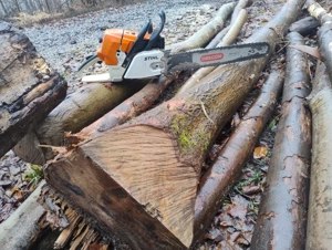 Motorsäge Stihl MS 461 Getunt!Power ohne Ende Bild 2