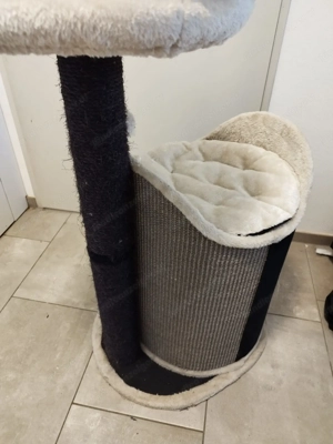 Kratzbaum für Katzen für jung und alt  Bild 2