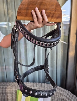 Pferde Trense Echtleder Bild 2