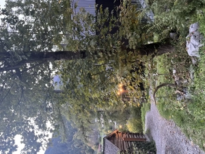 Gartenprofi und Hausmeister (geringfügig) Bild 2