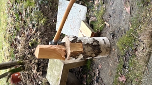Spalte Holz für Brennholz. 30cm Runden mit Axt