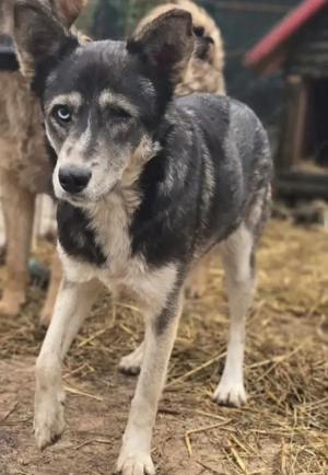 Malena freut sich auf IHRE Menschen Bild 7