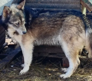 Malena freut sich auf IHRE Menschen Bild 3