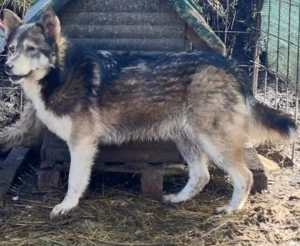 Malena freut sich auf IHRE Menschen Bild 2