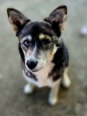 Malena freut sich auf IHRE Menschen Bild 6