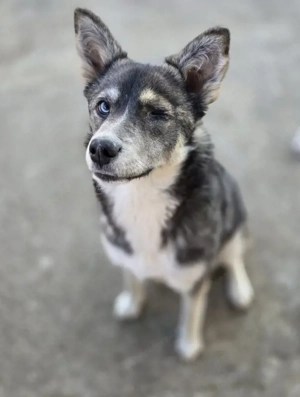 Malena freut sich auf IHRE Menschen Bild 5