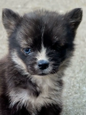 Malena freut sich auf IHRE Menschen Bild 8