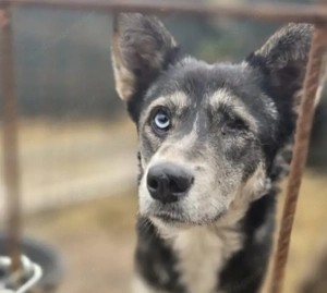 Malena freut sich auf IHRE Menschen Bild 4