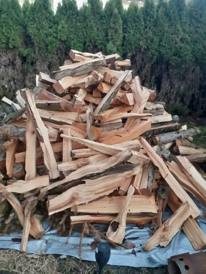 Brennholz Hartholz halbtrocken  Bild 2