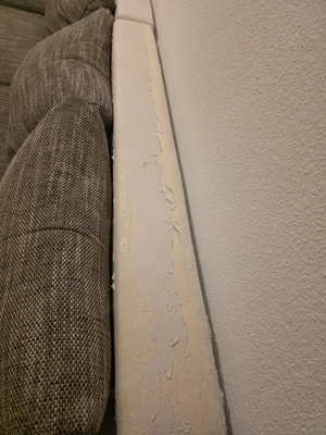 Verschenke Couch Ausziehbar! Bild 3