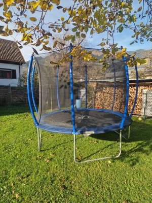 Trampolin 4m Durchmesser - Crane Bild 2