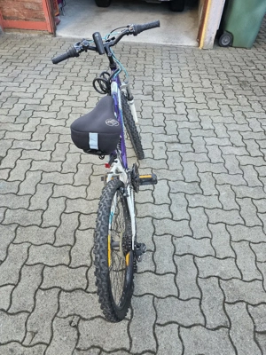 Fahrrad 24 zoll  Bild 2