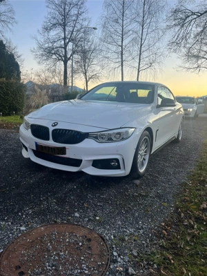 BMW 420d Cabrio F33 N47 Bild 10