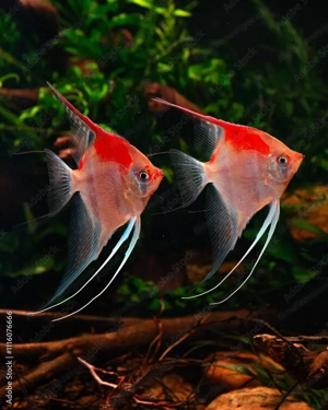 Kartenlegen Energiearbeit