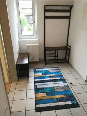 Attraktive Singe-Wohnung, Altach, voll möbliert  Bild 5