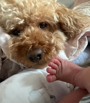 Ein Ehepaar mit einem Kind sucht eine 3 Zimmer Wohnung 