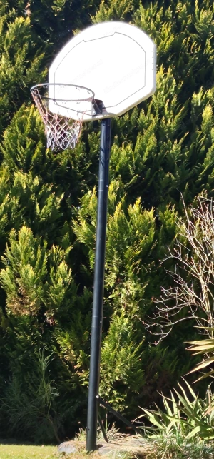 Basketballkorb auf Ständer höhenverstellbar