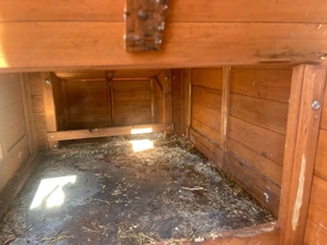 Hasenstall mit Freilaufgehege, Hühnerstall Bild 3