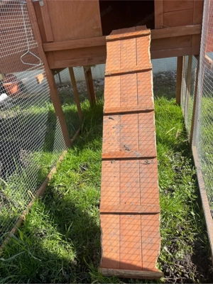 Hasenstall mit Freilaufgehege, Hühnerstall Bild 8