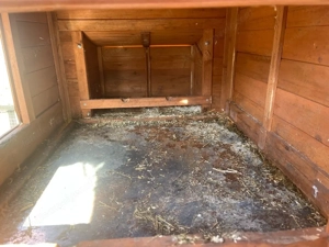 Hasenstall mit Freilaufgehege, Hühnerstall Bild 5