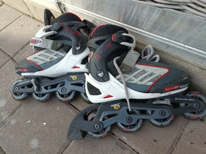 Der Frühling kommt. Bild 2