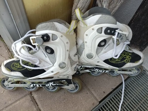 Der Frühling kommt.