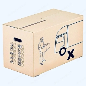 Umzugskartons - 10 Stk.
