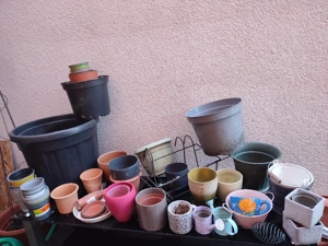 Zu Verschenken  Bild 2